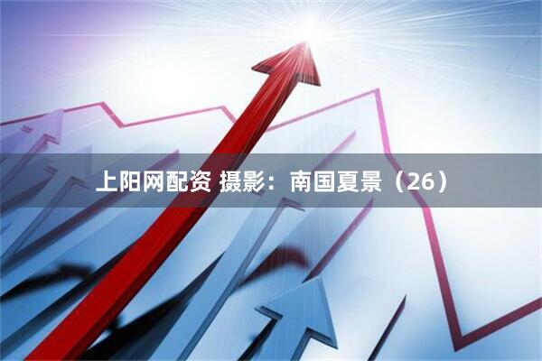上阳网配资 摄影：南国夏景（26）