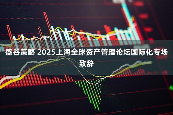 盛谷策略 2025上海全球资产管理论坛国际化专场致辞